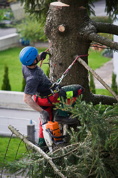 Landscape Design and Installation in Southworth, WA